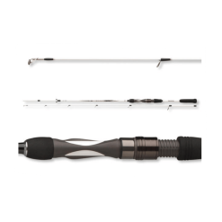 Daiwa Ballistic LTD Light Spin 2,00 Meter 5-14 G