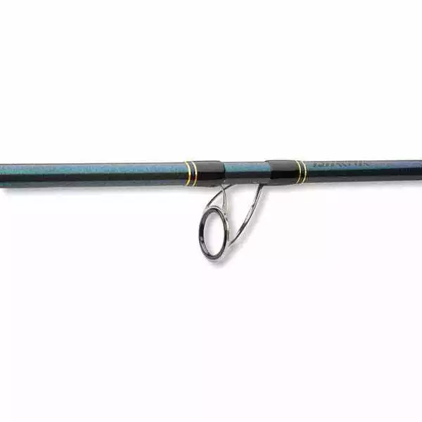 Daiwa Saltist Sea 240 Cm 40-110g 7 Daiwa Saltist Sea 240 Cm 40-110g – Bild 5